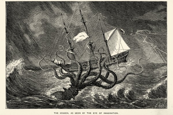 Kraken forum