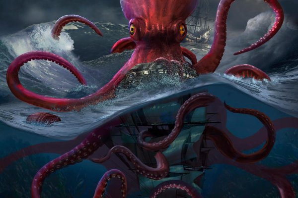 Kraken kraken link24 info