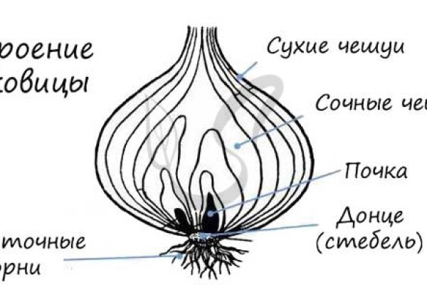 Сайт кракен магазин kraken2 tor2 xyz