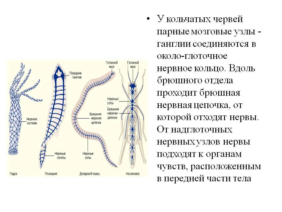 Как восстановить доступ к кракену